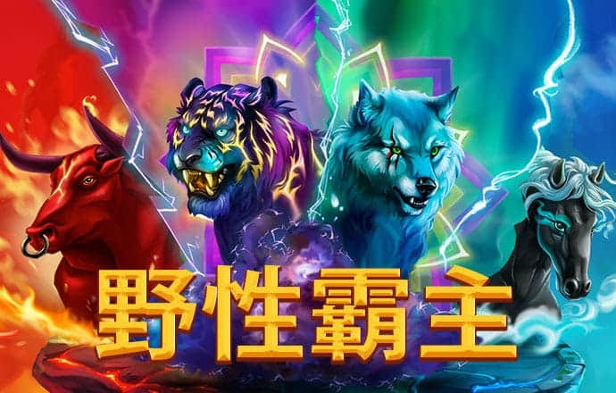 k8凯发官网入口
